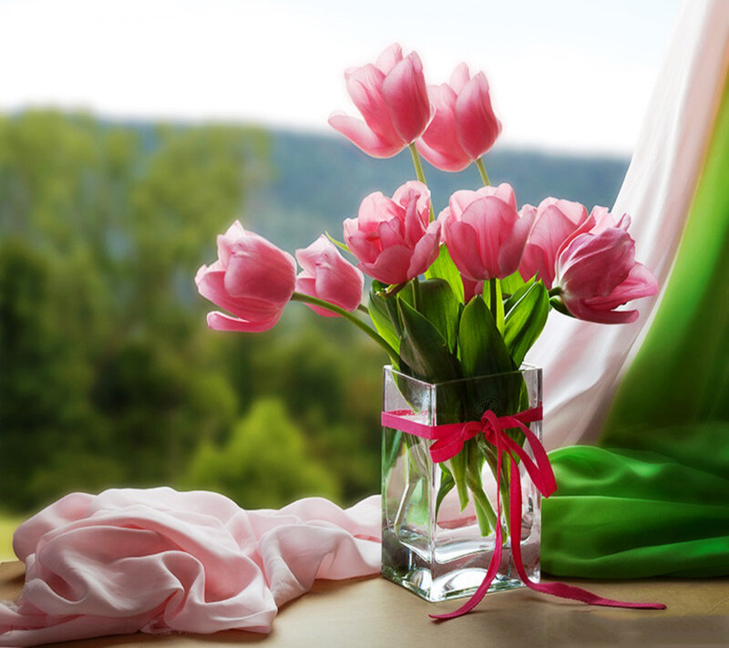 Pink Tulips in Vase — Serene, Afternoon, Photograph, Fabric