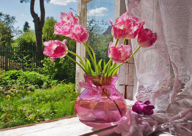 Pink Tulips in Vase — Serene, Afternoon, Photograph