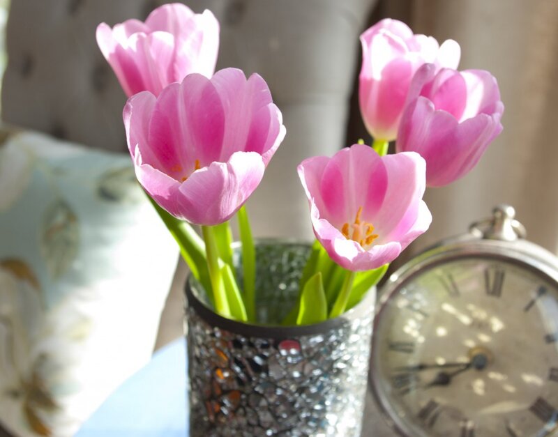 Pink Tulips in Vase — Serene, Morning, Photograph, Clock