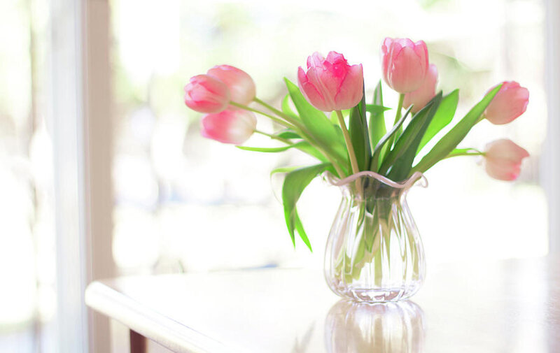 Pink Tulips in Vase — Serene, Morning, Photograph, Table
