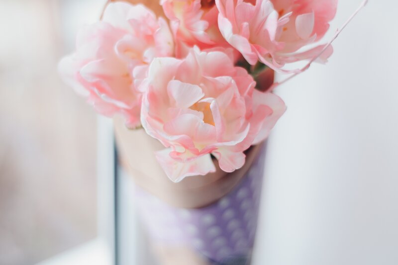Pink Tulips in Vase — Serene, Morning, Photograph, Window