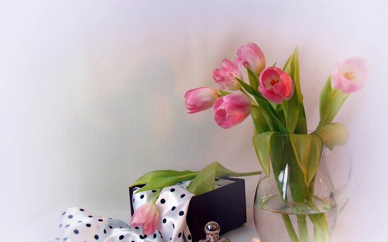 Pink Tulips in Vase — Serene, Photograph, Box, Ribbon