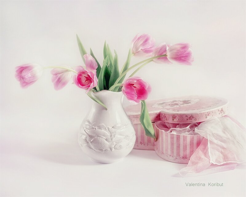 Pink Tulips in Vase — Serene, Photograph, Box