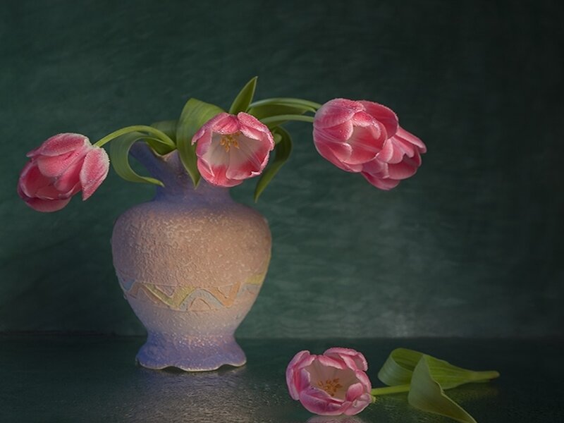 Pink Tulips in Vase — Serene, Photograph, Flowers