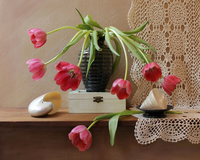 Pink Tulips in Vase — Serene, Photograph, Seashells