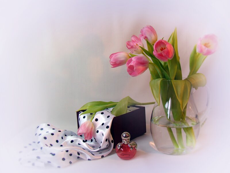 Pink Tulips in Vase — Serene, Photograph