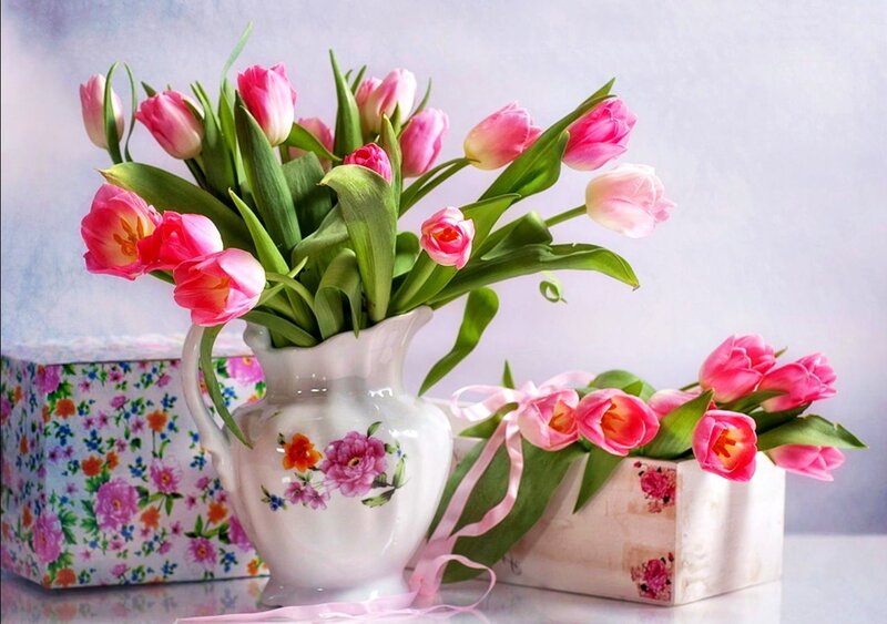 Pink Tulips in Vase — Serene, Spring, Photograph, Box, Ribbon