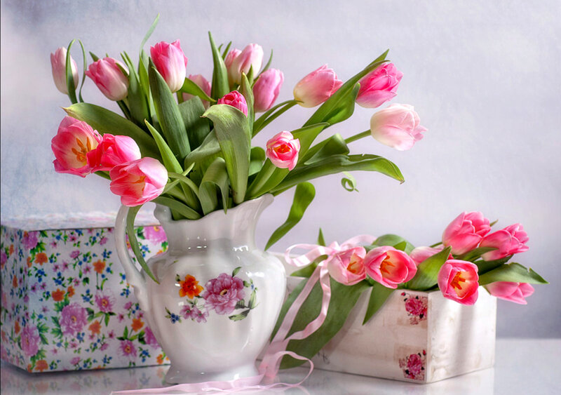 Pink Tulips in Vase — Serene, Spring, Photograph, Box