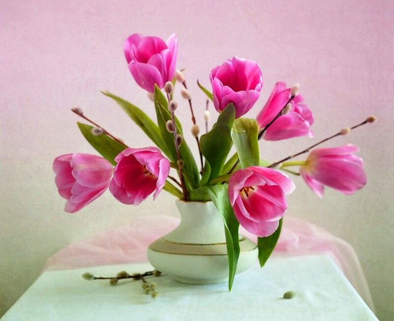 Pink Tulips in Vase — Serene, Spring, Photograph, Green Leaves