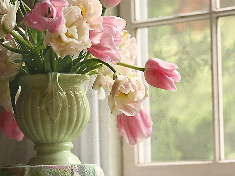 Pink Tulips in Vase — Serene, Spring, Photograph