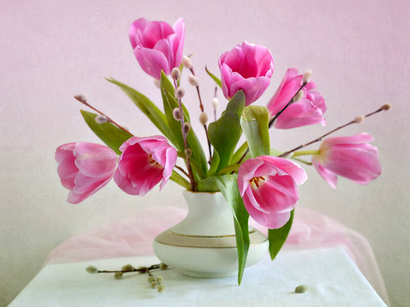 Pink Tulips in Vase — Serene, Spring, Photograph, Willow Branches