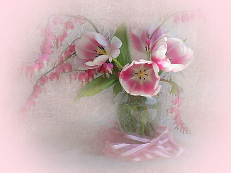 Pink Tulips in Vase — Serene, Spring