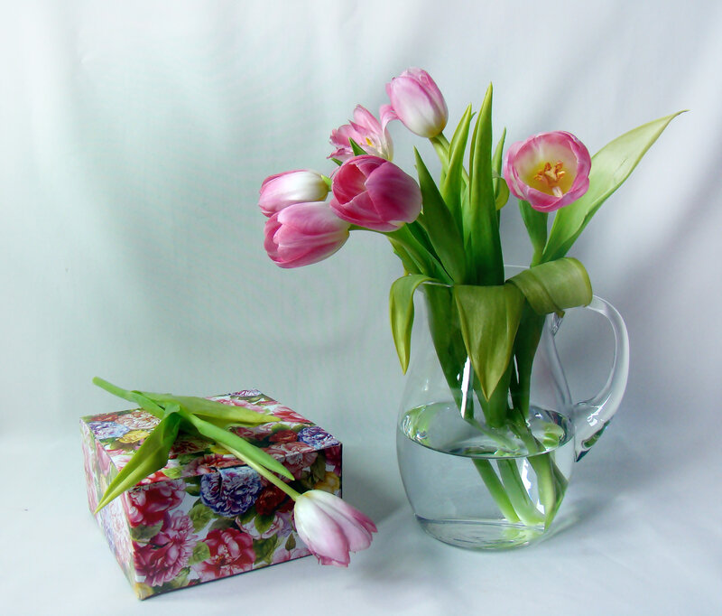 Pink Tulips in Vase — Serene