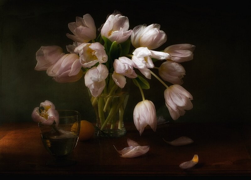 Pink Tulips in Vase — White, Dramatic
