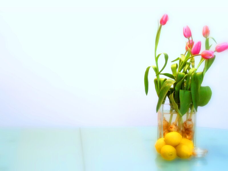 Pink Tulips in Vase — White, Serene