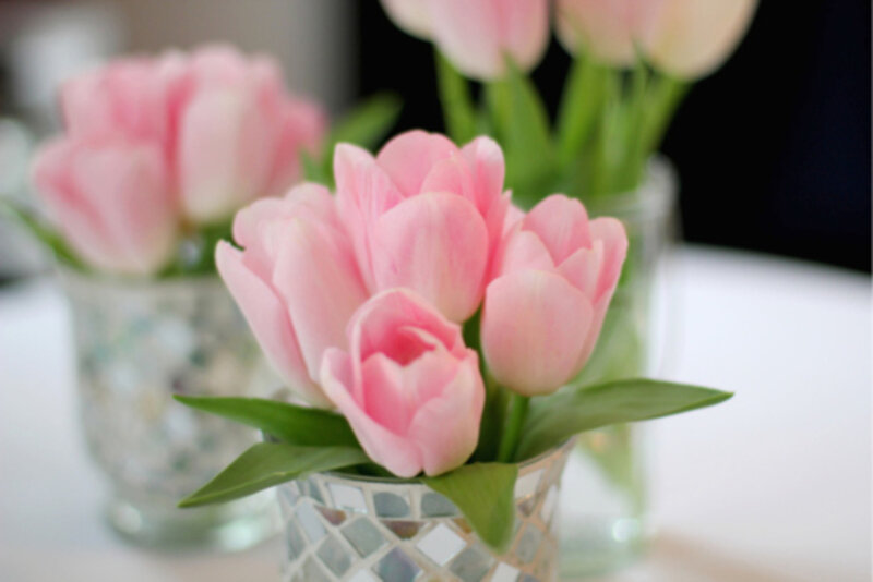 Pink Tulips in Vases — Calm