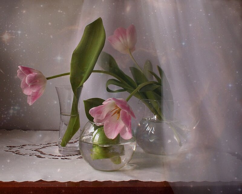 Pink Tulips in Vases — Serene
