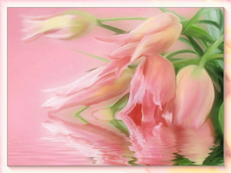 Pink Tulips in Water — Serene, Digital Art