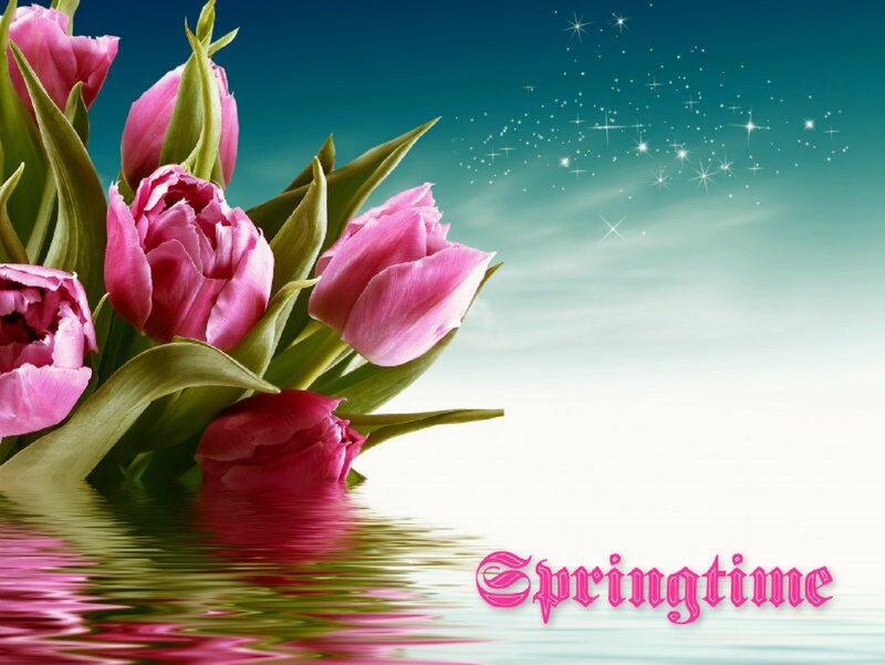 Pink Tulips in Water — Serene, Spring, Digital Art