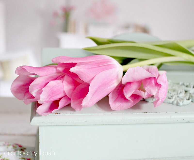 Pink Tulips on Box