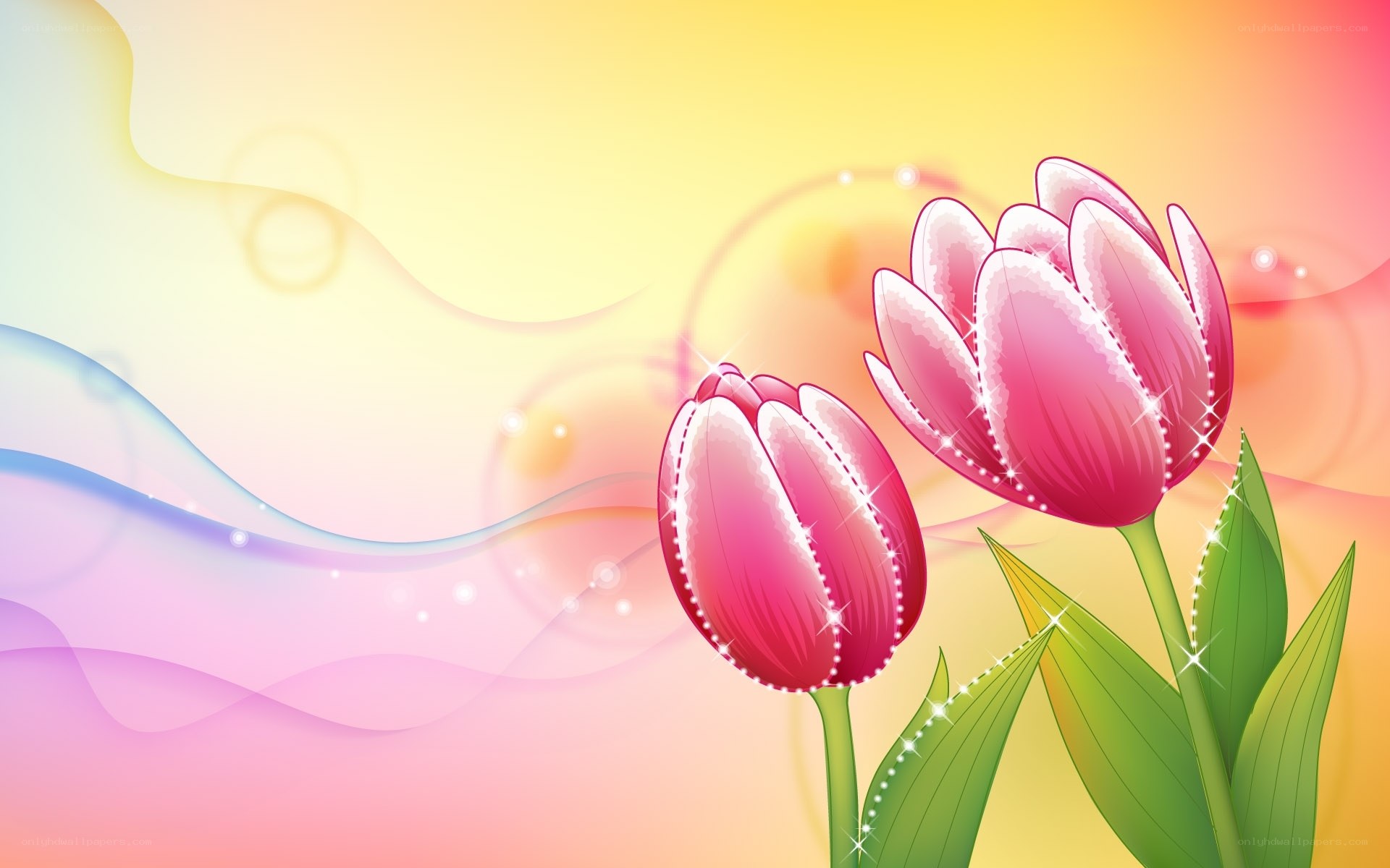 Pink tulips on colorful background
