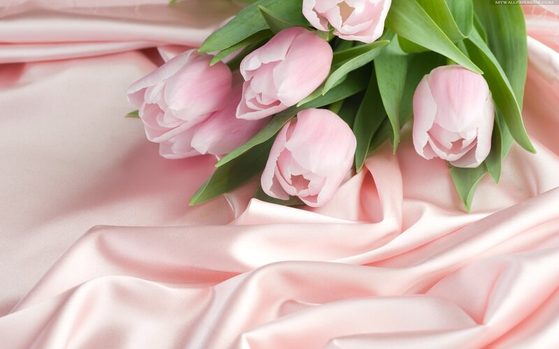 Pink Tulips on Fabric — Calm