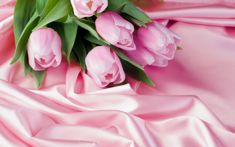 Pink Tulips on Fabric — Serene, Photograph