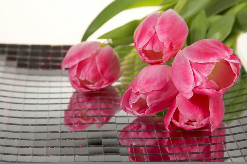 Pink Tulips on Glass