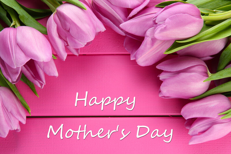 Pink Tulips on Pink Wood