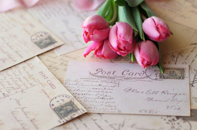 Pink Tulips on Postcards