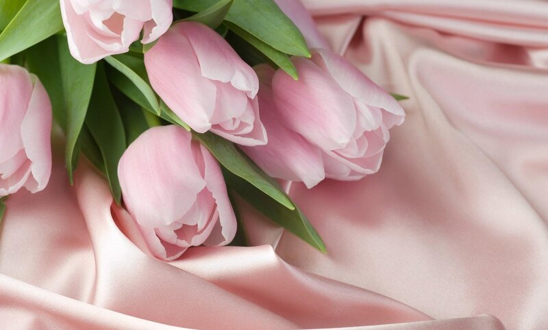 Pink tulips on satin fabric