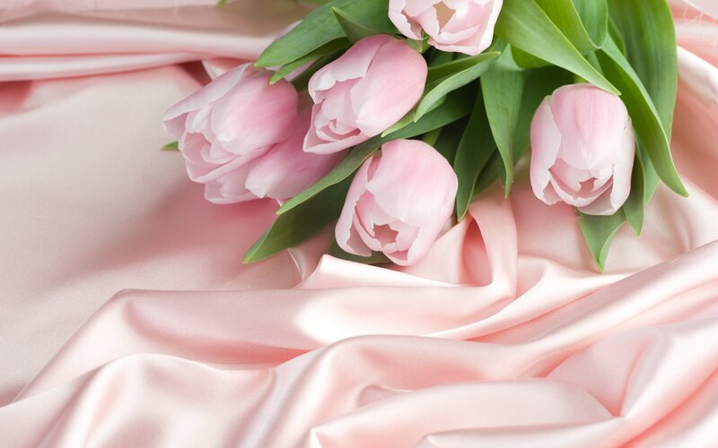 Pink tulips on satin fabric
