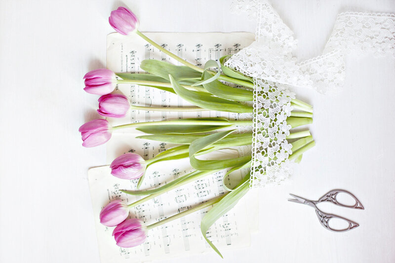 Pink Tulips on Sheet Music — White