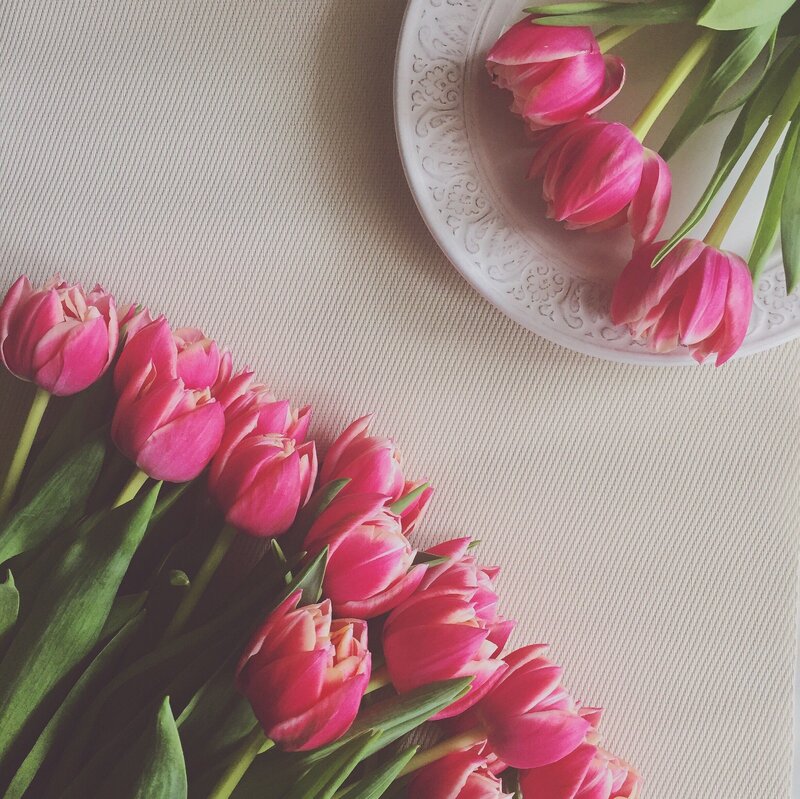 Pink Tulips on Table — Calm, Spring