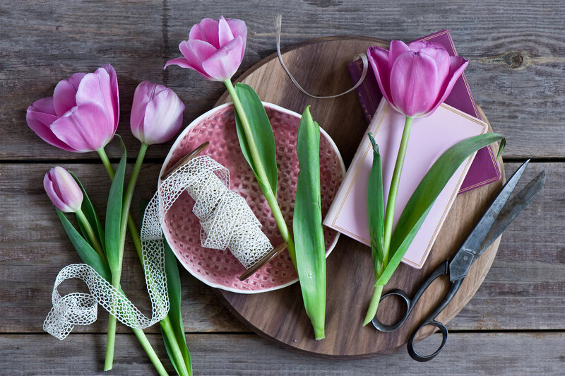 Pink Tulips on Wood — Calm, Spring, Photograph, Scissors