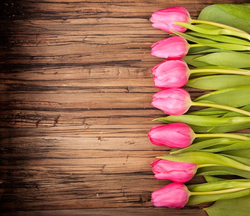 Pink Tulips on Wood — Calm, Spring, Photograph
