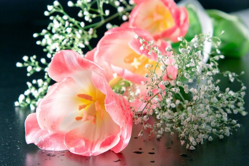 Pink Tulips with Baby's Breath — Serene, Photograph