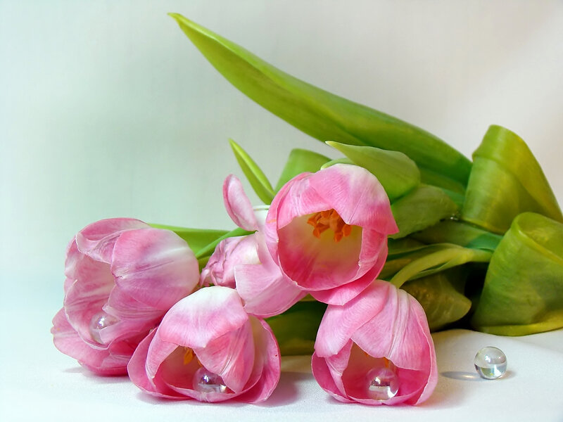Pink Tulips with Beads