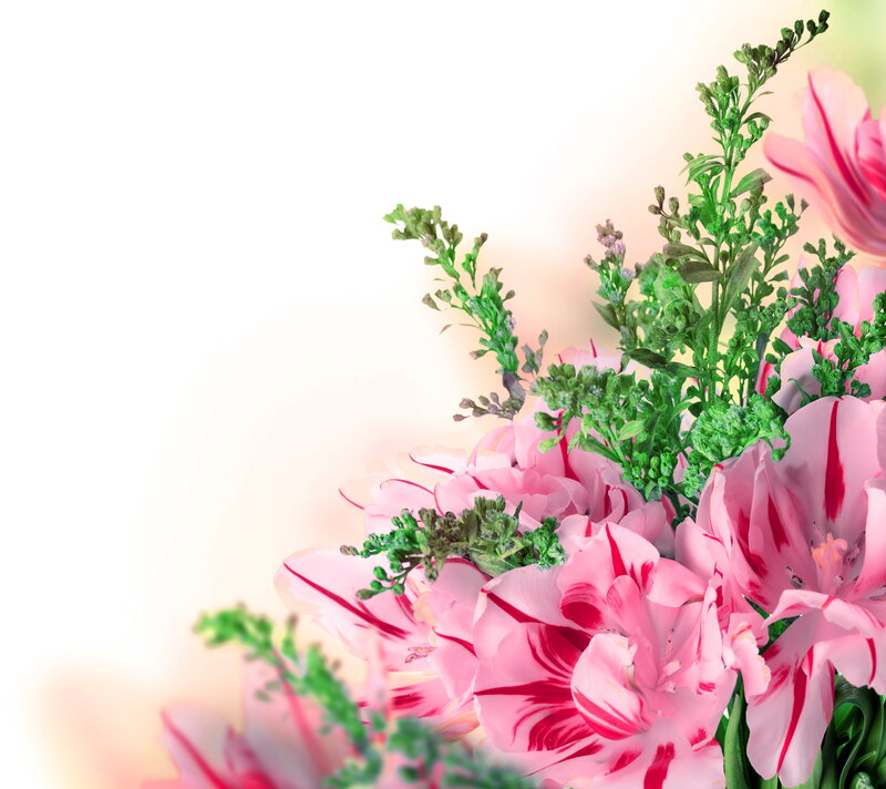 Pink Tulips with Greenery