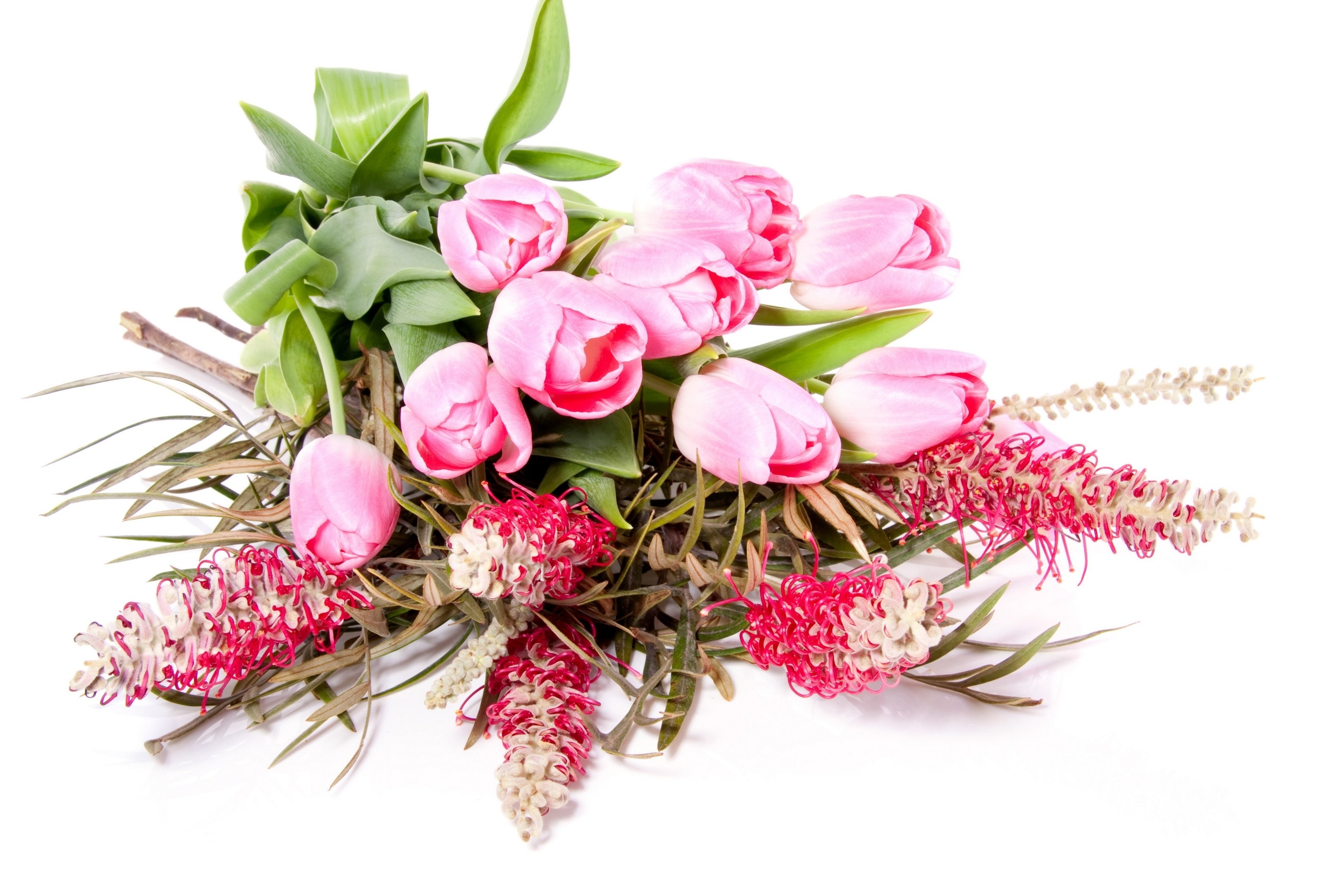 Pink tulips with protea flowers