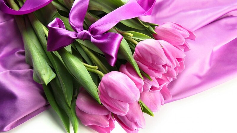Pink Tulips with Ribbon — Calm, Photograph