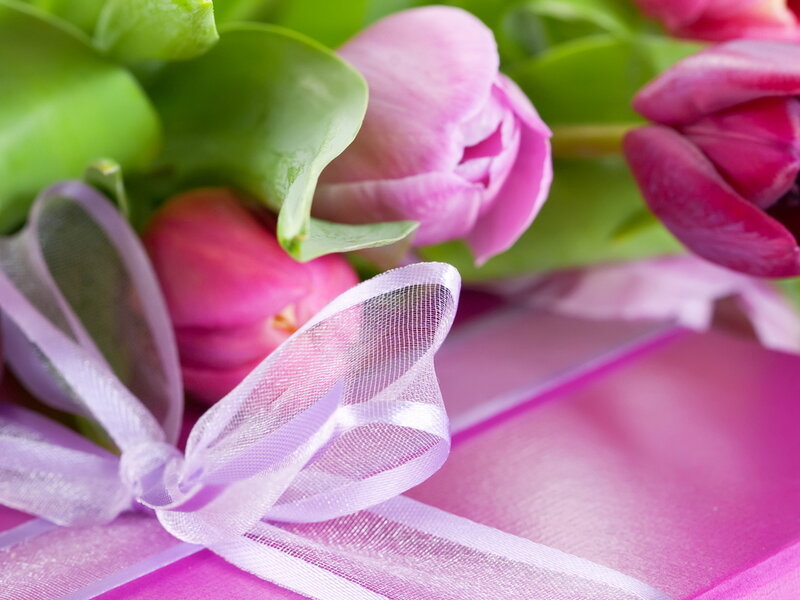Pink Tulips with Ribbon — Calm