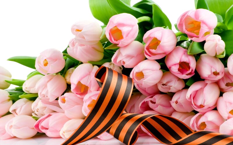 Pink Tulips with Ribbon — Festive
