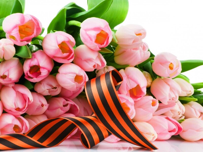 Pink Tulips with Ribbon — Peaceful, Spring, Photograph