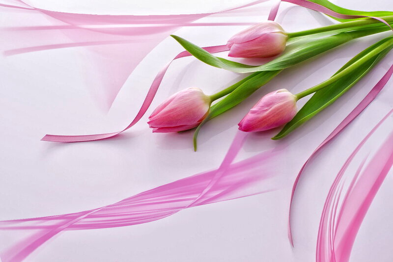 Pink Tulips with Ribbons