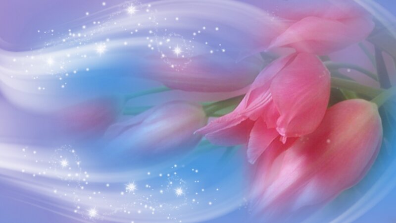 Pink Tulips with Sparkles