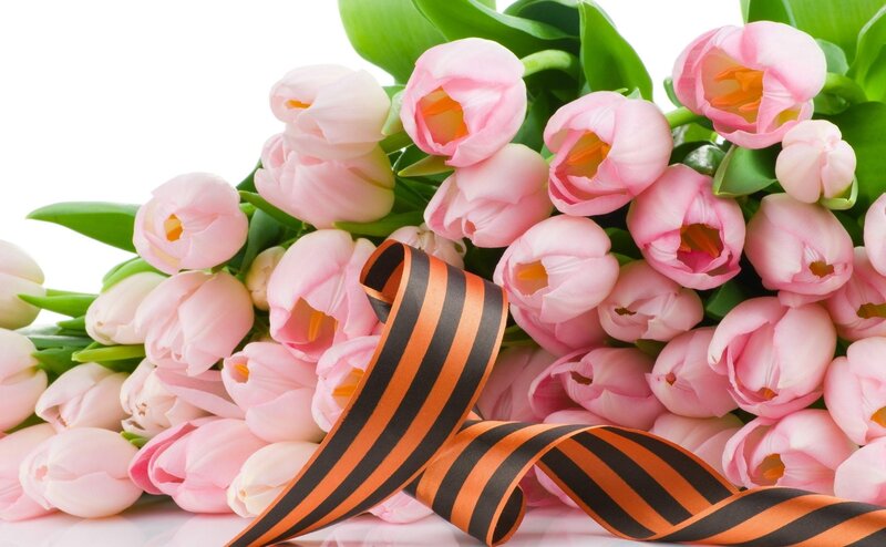 Pink tulips with St. George ribbon