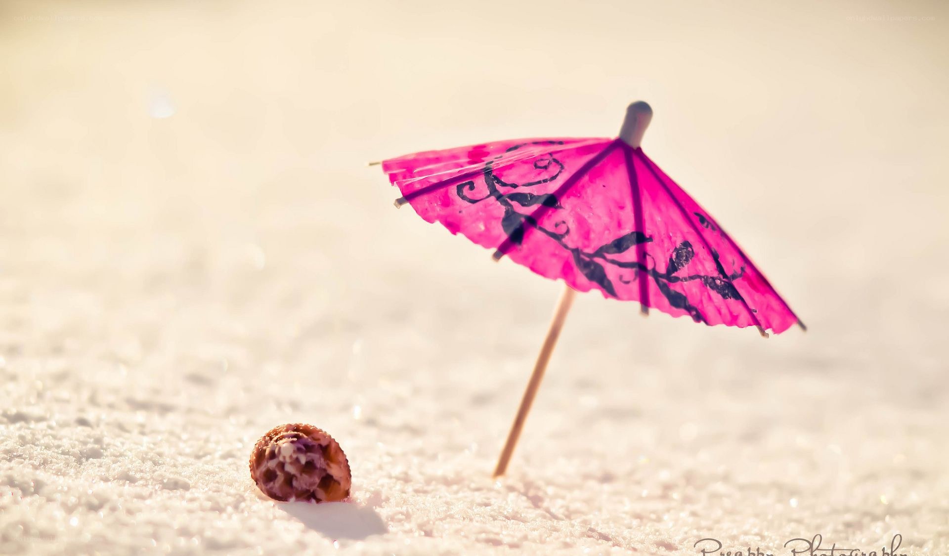 Pink umbrella in snow