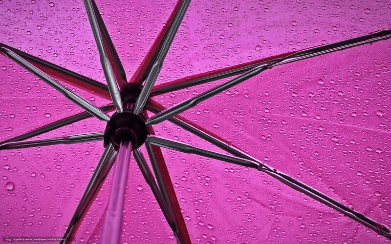 pink umbrella with raindrops