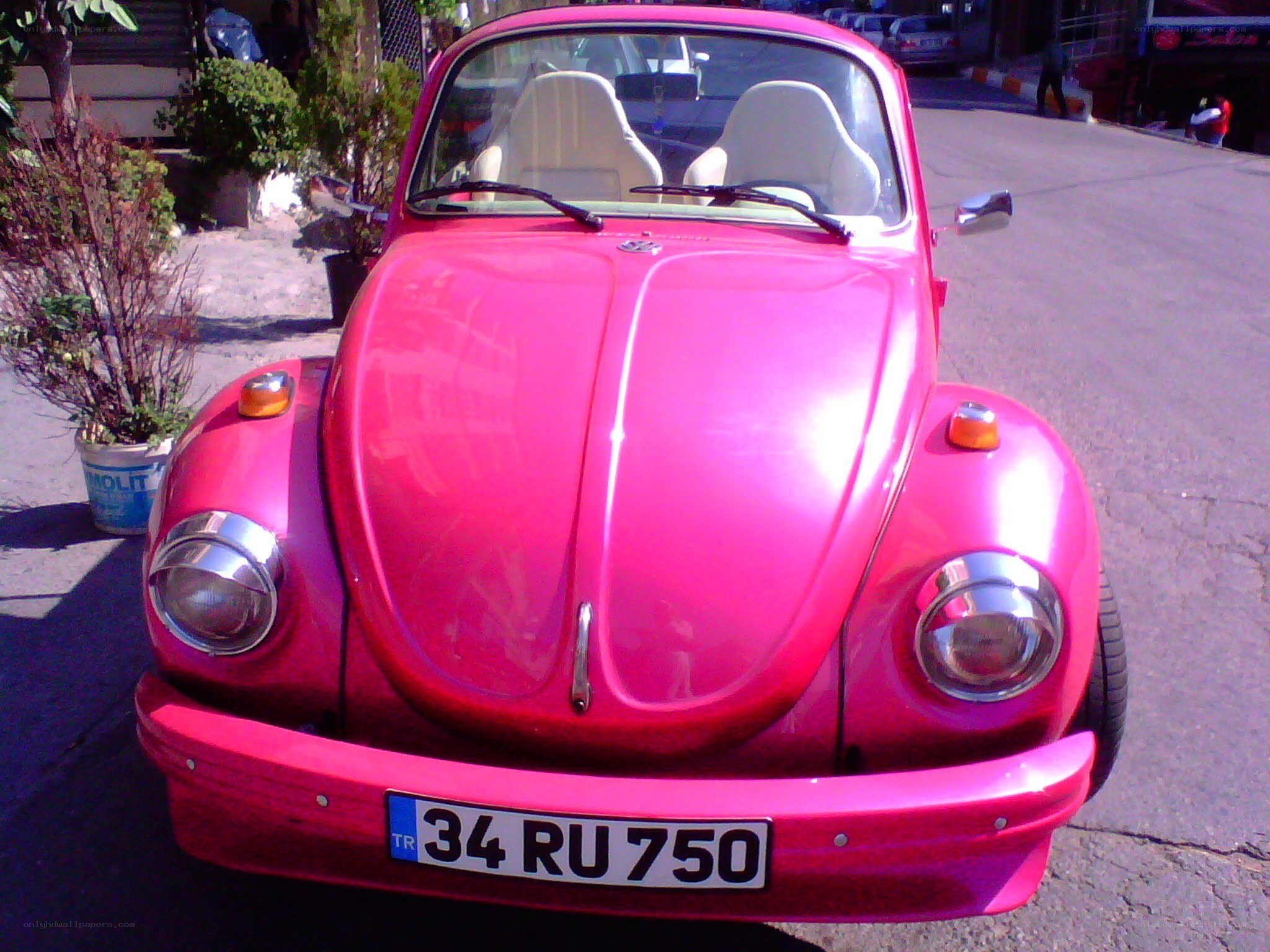 pink volkswagen beetle car